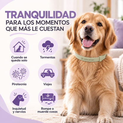 Calm Wisher | Collar Calmante para Perros Con Feromonas